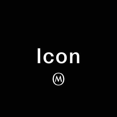 Level 3 - Icon